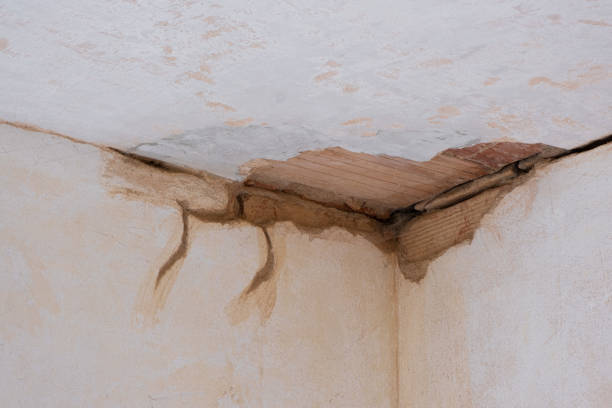 Best Water damage restoration experts  in Middletown, DE