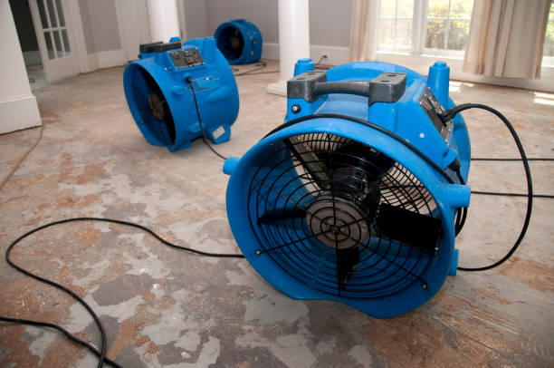Best Ceiling water damage repair  in Middletown, DE