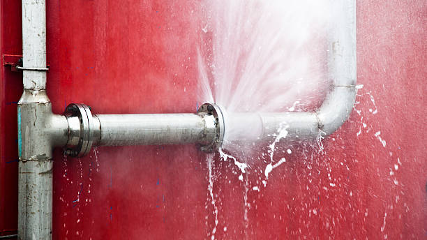 Best Flooded house restoration  in Middletown, DE